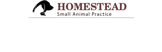display_logo_card
